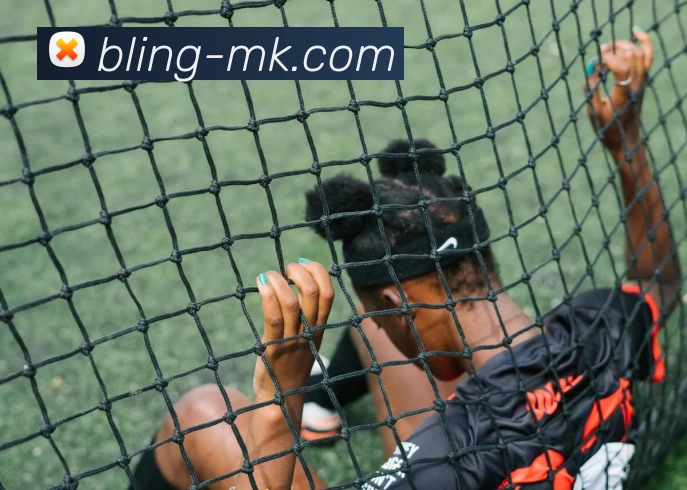 MK体育平台生态图